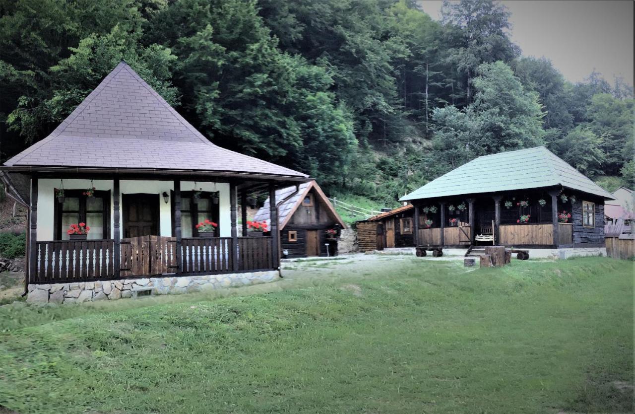 Casuta Din Valea Regilor Villa Gradistea de Munte Eksteriør bilde