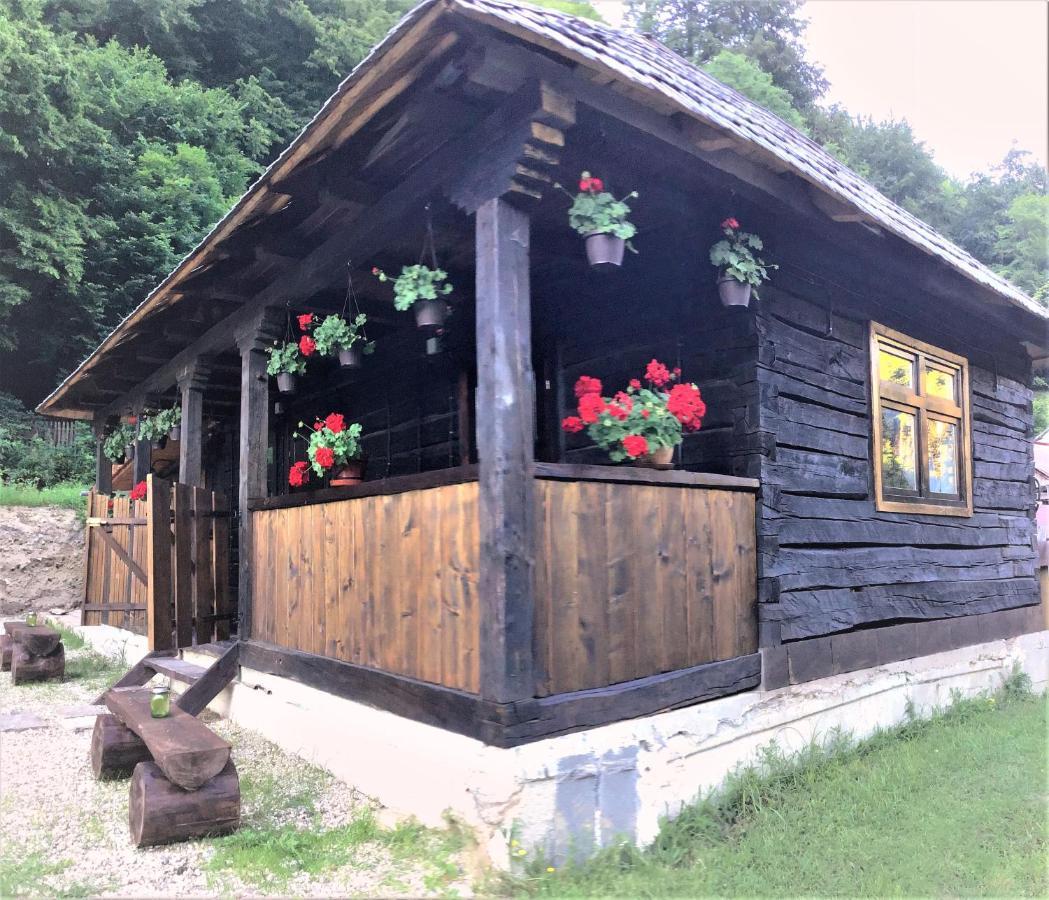 Casuta Din Valea Regilor Villa Gradistea de Munte Eksteriør bilde
