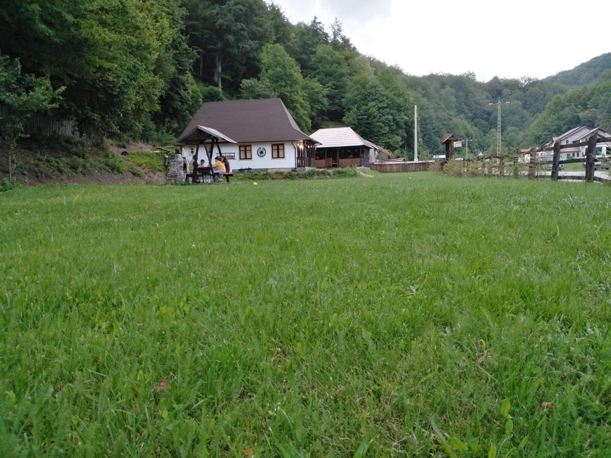 Casuta Din Valea Regilor Villa Gradistea de Munte Eksteriør bilde