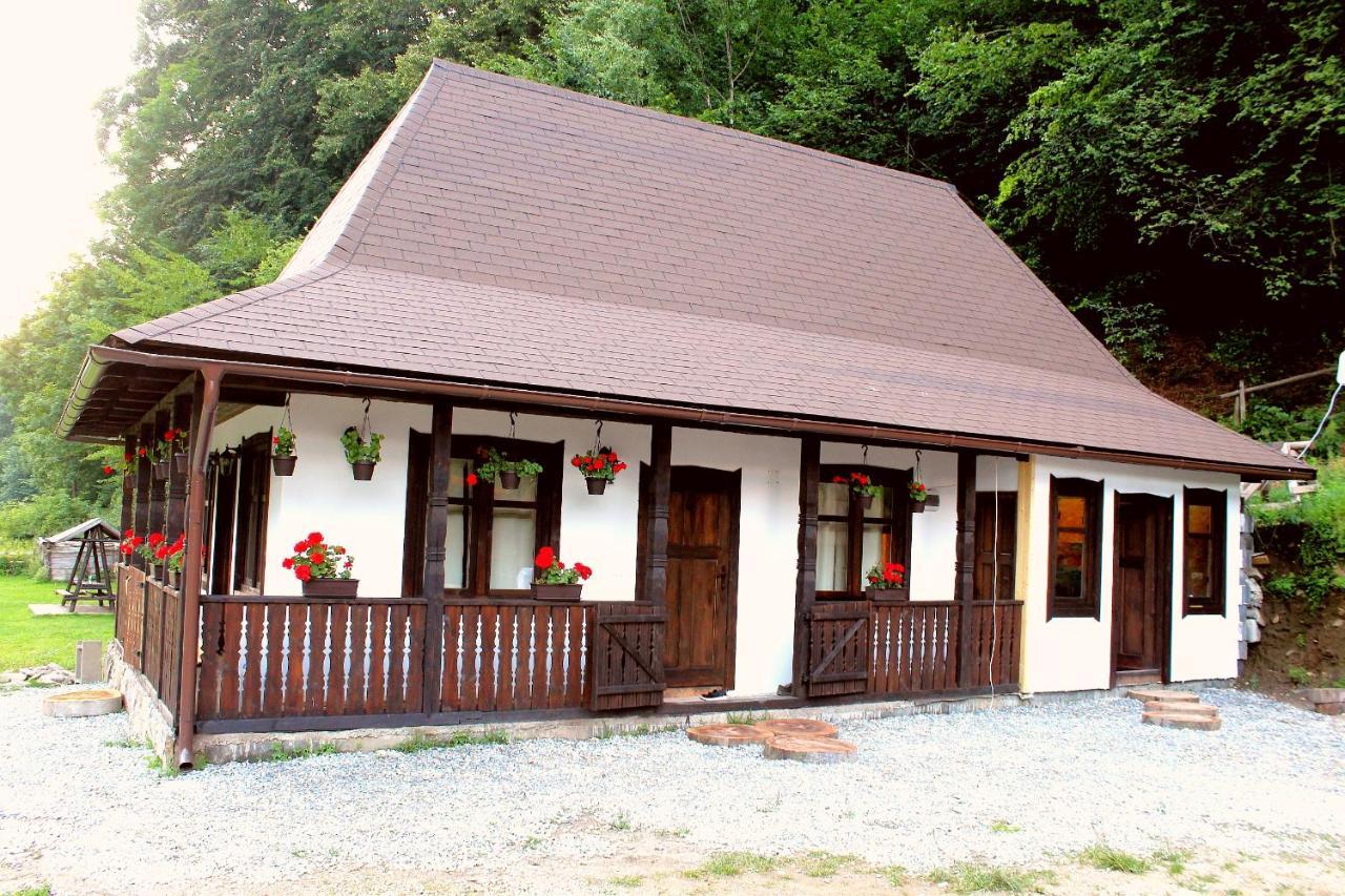 Casuta Din Valea Regilor Villa Gradistea de Munte Eksteriør bilde