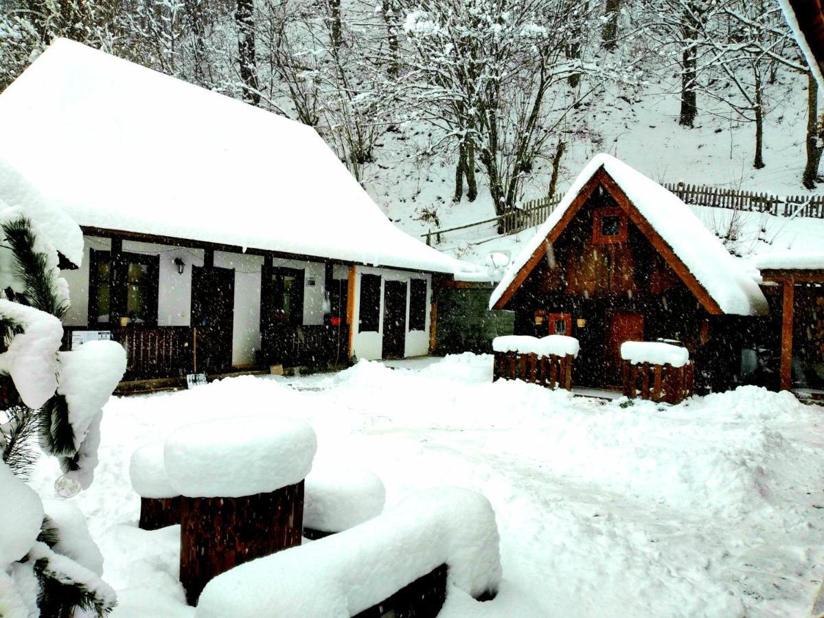 Casuta Din Valea Regilor Villa Gradistea de Munte Eksteriør bilde