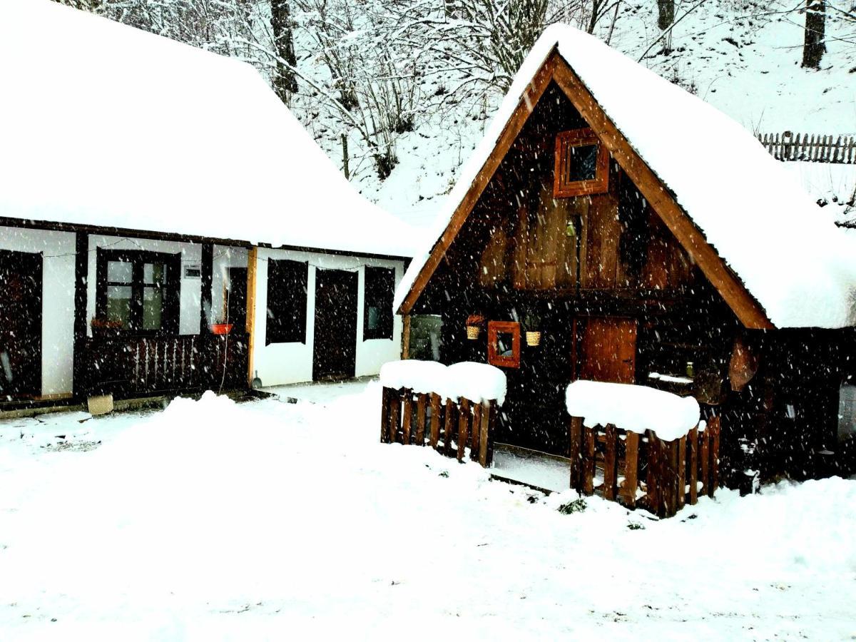 Casuta Din Valea Regilor Villa Gradistea de Munte Eksteriør bilde