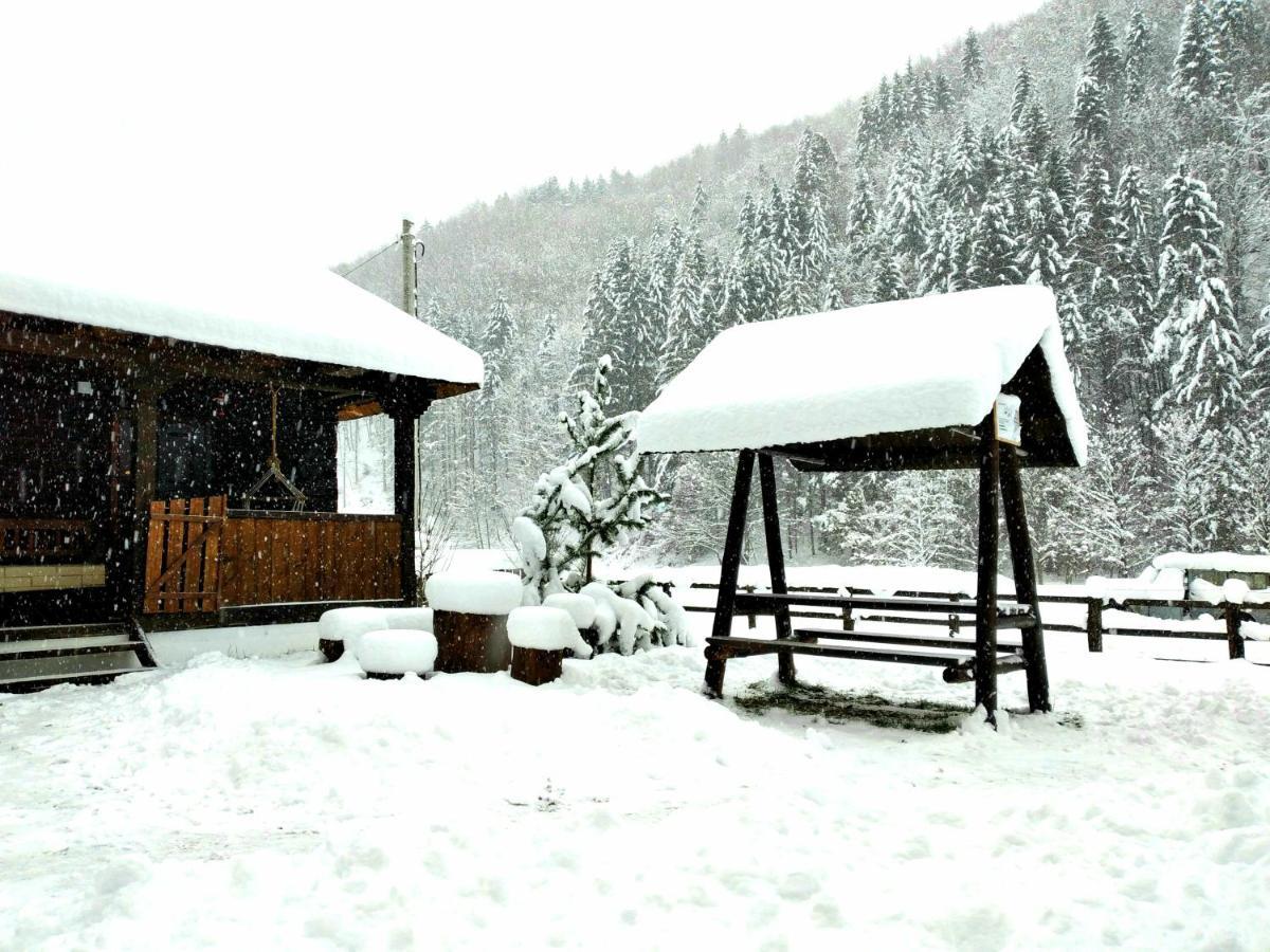 Casuta Din Valea Regilor Villa Gradistea de Munte Eksteriør bilde