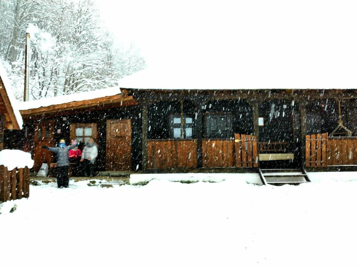 Casuta Din Valea Regilor Villa Gradistea de Munte Eksteriør bilde